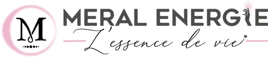 Meral Reiki Energie Logo